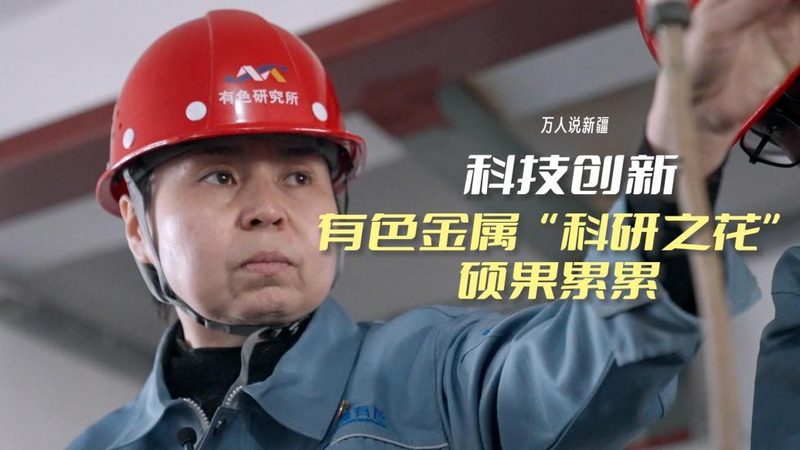 数据仓库工具的选型逻辑：如何找到最适合您的解决方案**